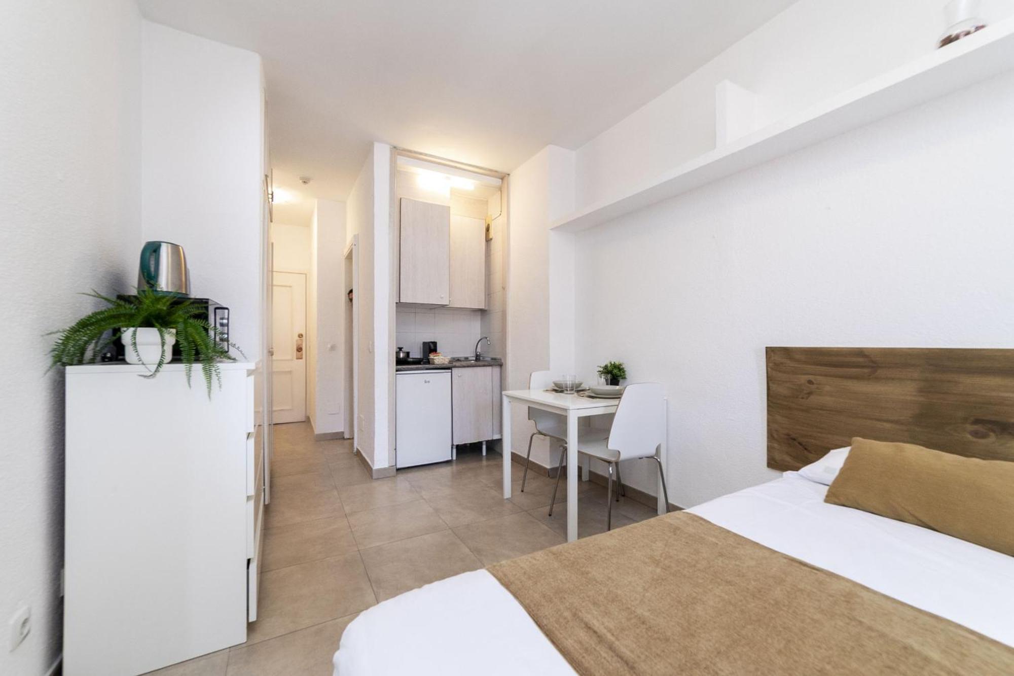 Apartamento Classy Xiii - Ferga Madrid